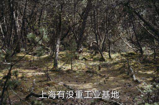 上海有沒重工業(yè)基地