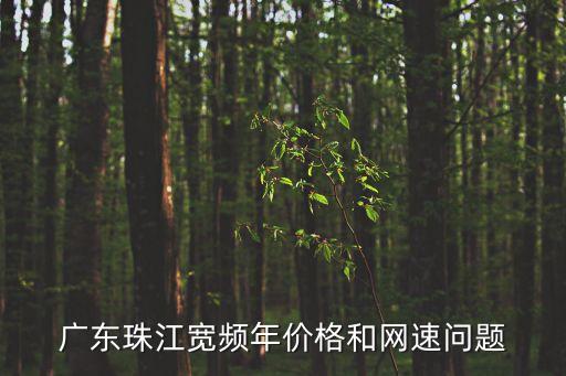 廣州珠江帝景網(wǎng)速，廣州有線珠江寬頻的上網(wǎng)速度如何具體多少