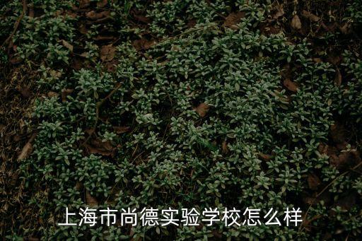 上海市尚德實(shí)驗(yàn)學(xué)校有多少名學(xué)生，上海赫德一個(gè)班有多少個(gè)學(xué)生