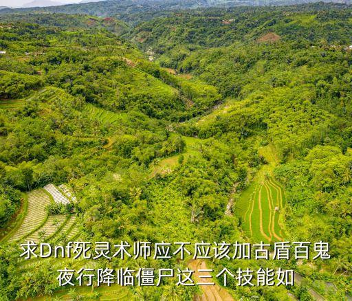 求Dnf死靈術師應不應該加古盾百鬼夜行降臨僵尸這三個技能如