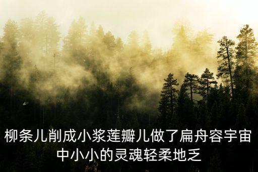 柳條兒削成小漿蓮瓣兒做了扁舟容宇宙中小小的靈魂輕柔地乏