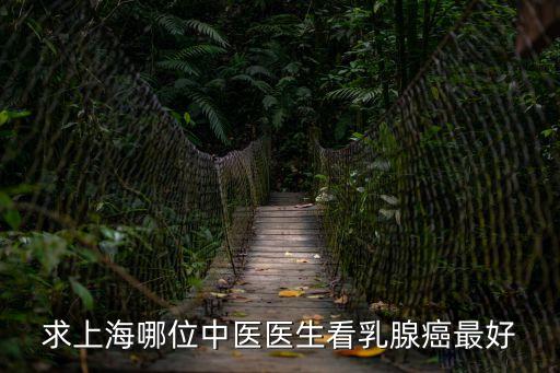 求上海哪位中醫醫生看乳腺癌最好