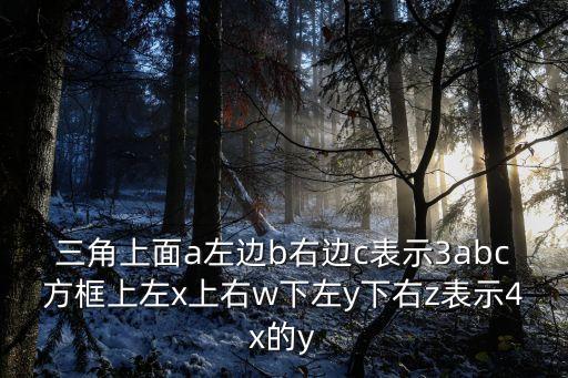 方上，三角上面a左邊b右邊c表示3abc方框上左x上右w下左y下右z表示4x的y