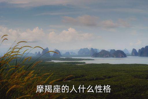 摩羯座的，摩羯座是怎樣的一個(gè)人