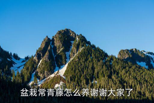 中華常春藤，常青藤是什么季節(jié)播種的要多長時間發(fā)芽