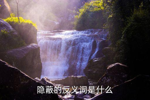 隱蔽的反義詞，隱蔽的反義詞