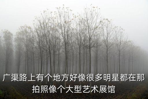 廣渠路上有個(gè)地方好像很多明星都在那拍照像個(gè)大型藝術(shù)展館