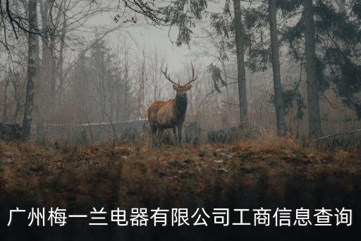 廣州偉騰集團張記清，在深圳東莞及廣州有一幫長期跟蹤的犯罪團伙是什性質的犯罪集團