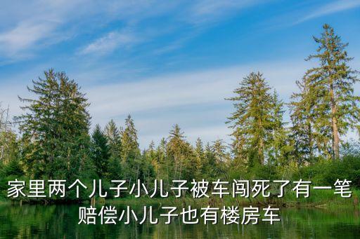 廣州花都兩小孩在車死亡，廣東省兩歲小孩交通事故致死標(biāo)準(zhǔn)賠償具體是多少金額