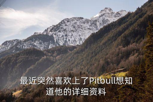 最近突然喜歡上了Pitbull想知道他的詳細資料