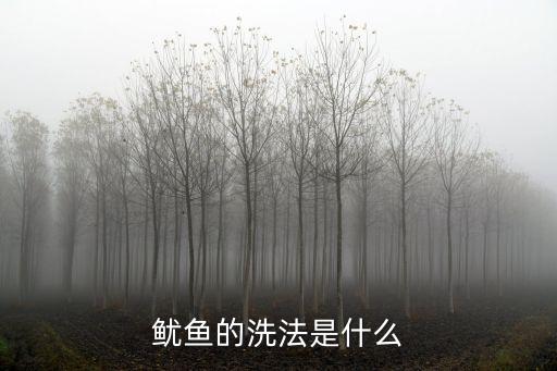 魷魚怎么洗，魷魚的洗法是什么
