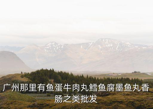 廣州有賣炸蝦餅的嗎，廣州那里有魚蛋牛肉丸鱈魚腐墨魚丸香腸之類批發
