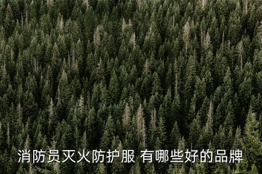 消防員滅火防護服 有哪些好的品牌
