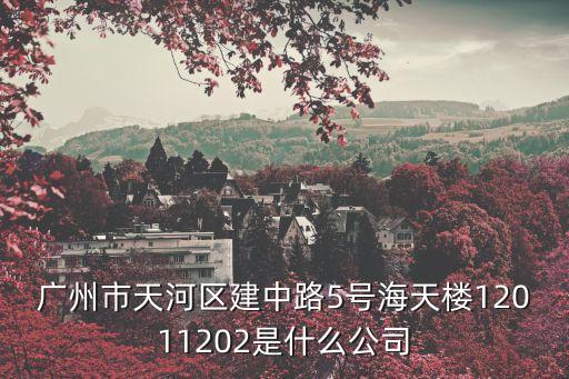 廣州市天河區建中路5號海天樓12011202是什么公司