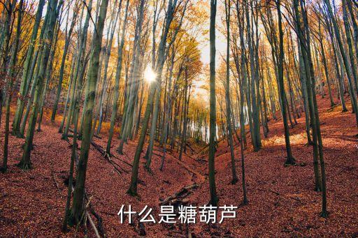 什么是糖葫蘆