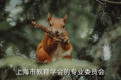 上海市教育學會主要成員，上海市教育電視臺 臺長副臺長是誰