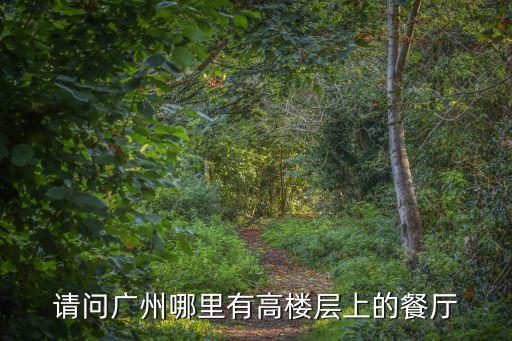 廣州西塔71樓餐廳地址，廣州西塔在哪