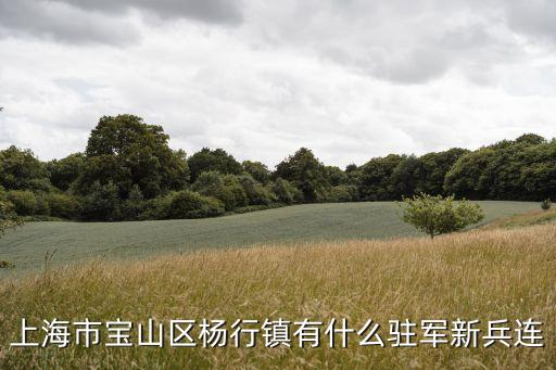 上海市寶山區楊行鎮有什么駐軍新兵連