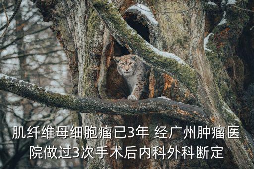 廣州腫瘤醫院趙明，腫瘤醫院廣州那家好
