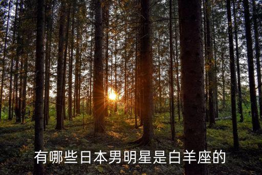 白羊座男明星，哪位男歌星是白羊座的