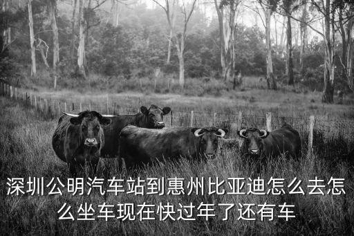 深圳公明汽車站到惠州比亞迪怎么去怎么坐車現在快過年了還有車