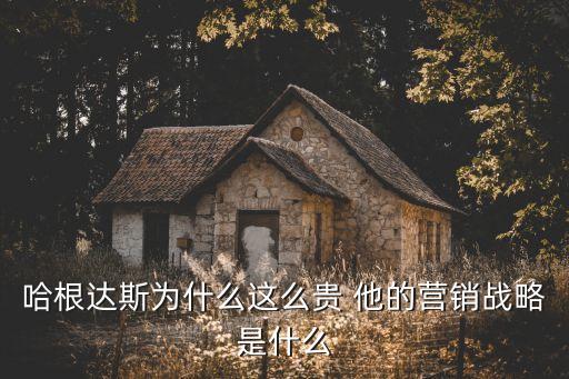 哈根達斯進入上海市場之前就認真分析了，哈根達斯是什么時候進入上海的