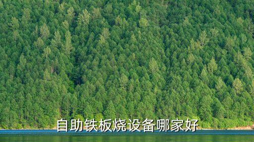 廣州有名鐵板燒，請問住在廣州的朋友們哪里有好吃的鐵板牛排