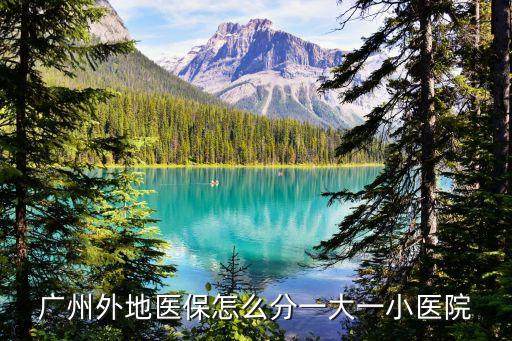 廣州外地醫保怎么分一大一小醫院
