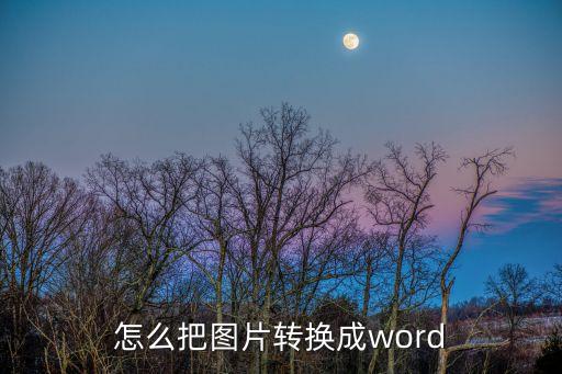 圖片轉換成word免費版，把圖像轉化成WORD文本的免費軟件有哪些