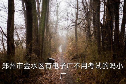 上海市金水區電子廠失火，你好想咨詢您上海航天電子有限公司的事