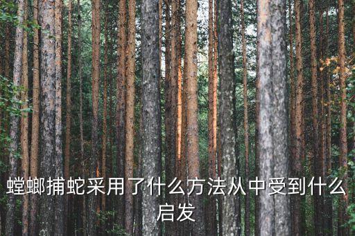 螳螂捕蛇，螳螂捕蛇文言文