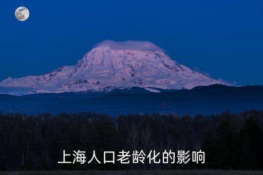 上海人口老齡化的影響