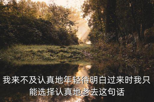 我來不及認真地年輕待明白過來時我只能選擇認真地老去這句話