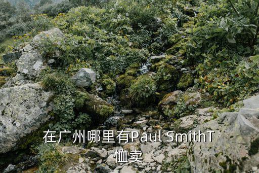 在廣州哪里有Paul SmithT恤賣