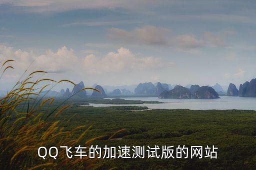 飛速加速器官網，想問一下土豆網站的飛速土豆能用在什么網站上能加速除了土豆