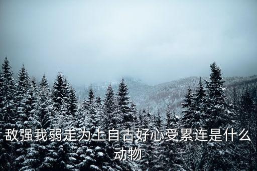 敵強我弱，敵強我弱的意思是什么