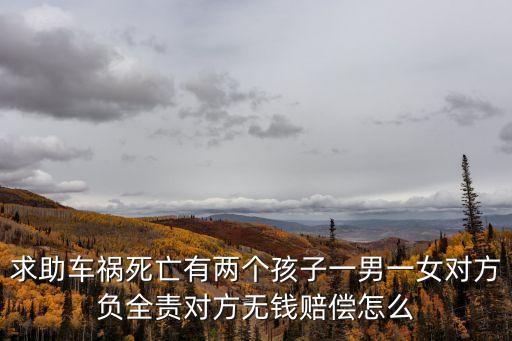 求助車禍死亡有兩個(gè)孩子一男一女對(duì)方負(fù)全責(zé)對(duì)方無(wú)錢(qián)賠償怎么