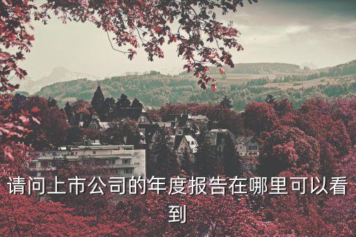 請問上市公司的年度報告在哪里可以看到