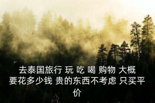 去泰國旅行 玩 吃 喝 購物 大概要花多少錢 貴的東西不考慮 只買平價