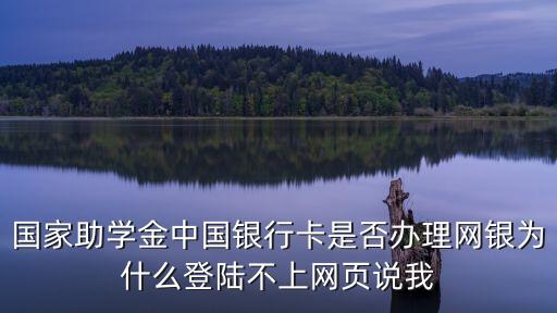 上海市國家獎學金資助系統，李嘉誠特別助學金管理系統助學金申請表最下邊2009年度是否享受