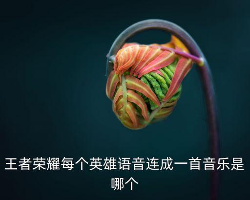 王者榮耀每個英雄語音連成一首音樂是哪個