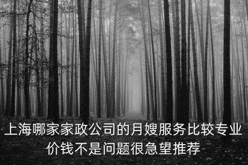 上海市楊浦好偉家政公司，上海哪家家政公司的月嫂服務(wù)比較專(zhuān)業(yè)價(jià)錢(qián)不是問(wèn)題很急望推薦