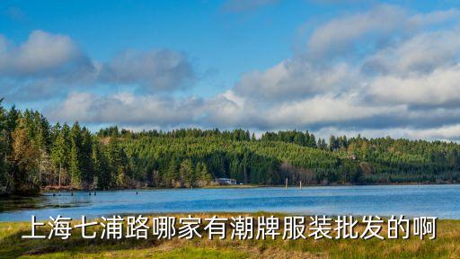 上海市潮牌服飾公司地址，上海七浦路哪家有潮牌服裝批發的啊