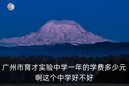廣州市育才實驗中學一年的學費多少元啊這個中學好不好
