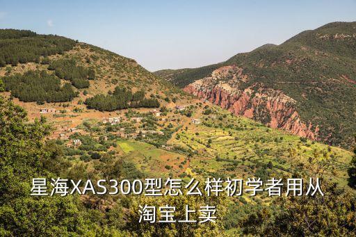 星海XAS300型怎么樣初學者用從淘寶上賣