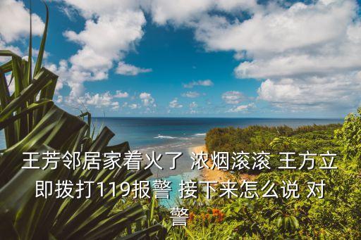 廣州西塔大火2017，王芳鄰居家著火了 濃煙滾滾 王方立即撥打119報警 接下來怎么說 對警