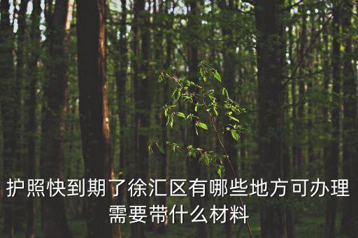護照快到期了徐匯區有哪些地方可辦理需要帶什么材料