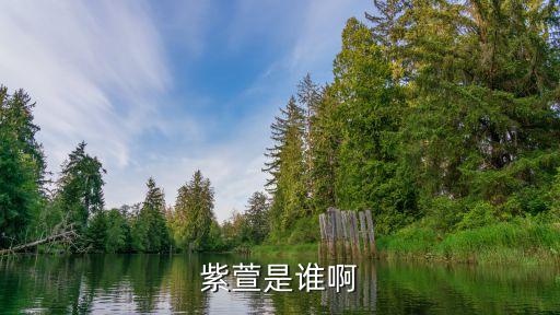 廣州紫萱女s，紫萱是誰