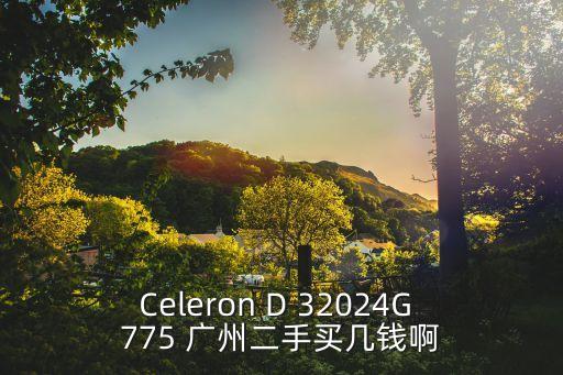 廣州二手伊思坦納報價，Celeron D 32024G 775 廣州二手買幾錢啊