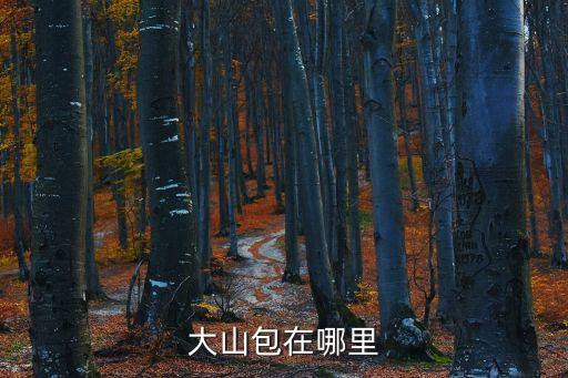 大山包，昭通大山包是哪個(gè)縣